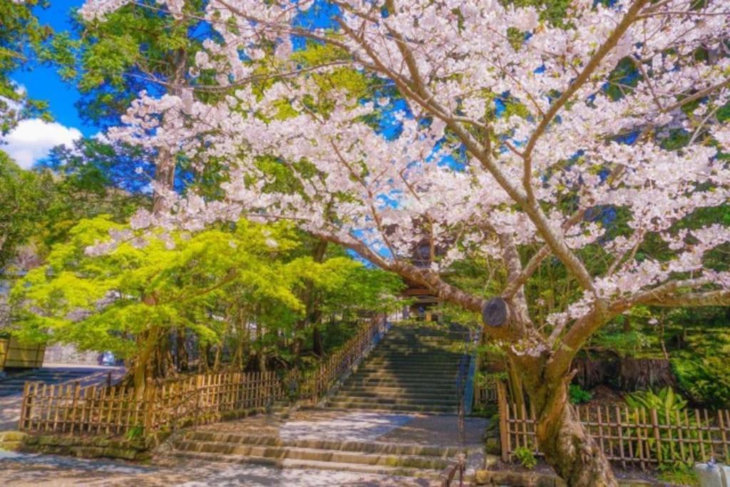ヴィラ 甘糟屋敷 Amakasu Yashiki 鎌倉市