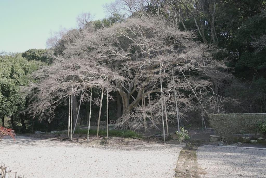 Villa 甘糟屋敷 Amakasu Yashiki *