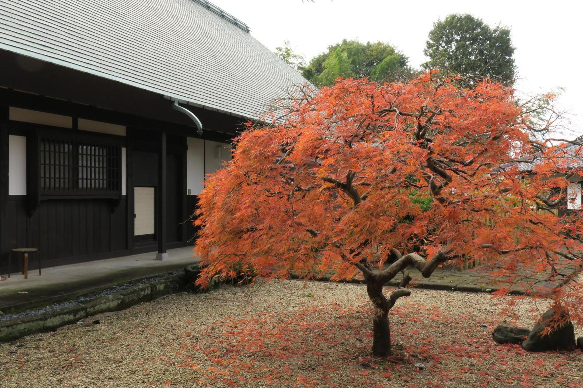Villa 甘糟屋敷 Amakasu Yashiki *